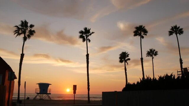 Palms silhouette sunset sky, California aesthetic. Oceanside USA. Tropical pacific ocean beach atmosphere. Dark black palm tree, Los Angeles vibes. Lifeguard watchtower, baywatch watch tower hut.