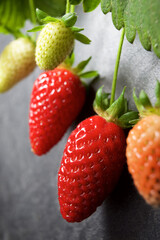 Strawberries close up