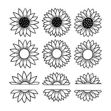 Sunflower split monogram. Flower silhouette vector illustration. Sunflower graphic logo, hand drawn icon for packaging, decor. Petals frame, black silhouette isolated on white background
