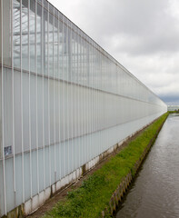 Westland, well known for its horticulture in glasshouses, hence its nickname the glass city