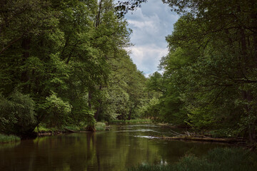Fototapeta premium The Krutynia river in Masuria, Poland