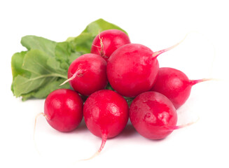 Radis bunch isolated on white background. Fresh radish root bundle, pile of red radishes with green leaves top view