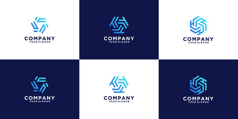 Fototapeta premium Hexagon logo collection with gradient colors