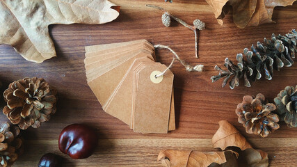 Fashion label photo background with chestnuts, leaves and pinecone