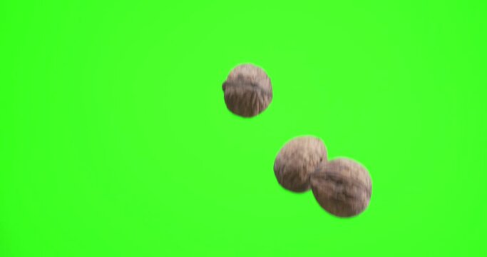 Several walnuts slowly rise and fall against on a green background (chroma key). Slow motion 300 fps. 