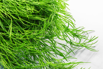 dill macro photo, close-up photo spice for food