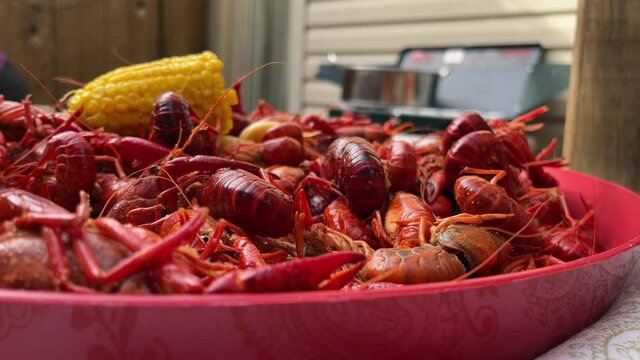 Crawfish