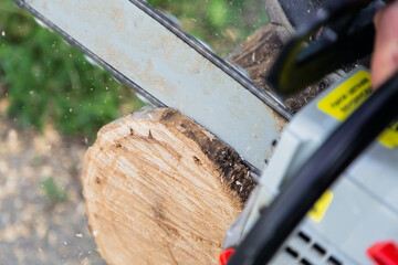 A working tool, a chainsaw in motion cuts wood a log, sawdust fly