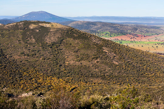Sierra Luenga. Montes de Toledo. Espa&ntilde;a. Europa.