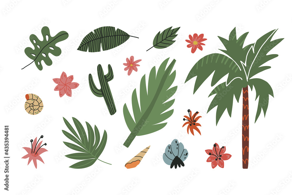 Wall mural cute cartoon summer plants and shells set. exotic leaves, palm tree, cactus plant, various blooming 