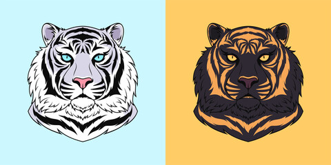 White and black tiger head with blue and golden eyes, isolated tiger face