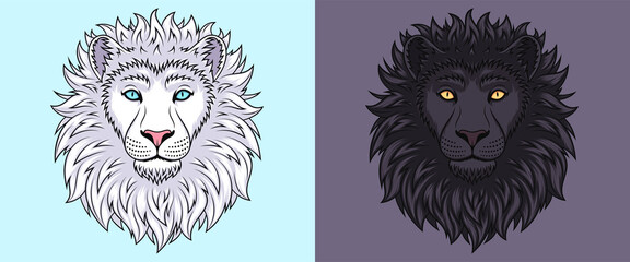 White and black lion head with blue and golden eyes, isolated lion face