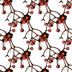 seamless pattern white autumn branch with bright red berries vector 22.5.21.