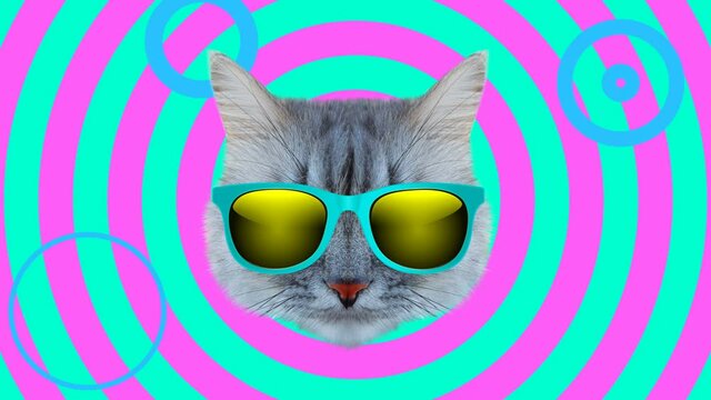 Cat style wiggle moving color background. Abstract graphics in trendy colors and style. Seamless looped motion graphic animation.