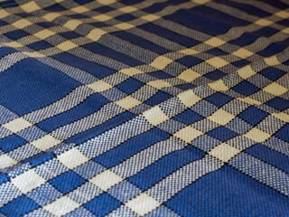 Blue checkered tablecloth.