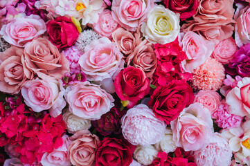 Red, pink plants close-up. Background, texture of multi-colored, bright, beautiful homemade, various colors. Decorations for photography.