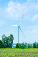 Fototapeta premium many windmills stand on a large field spinning in the day against a sunset orange sky. Alternative Energy Concept