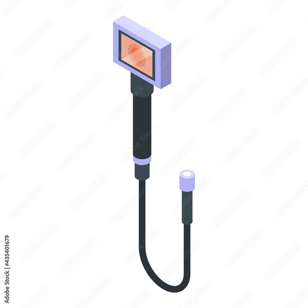 Poster endoscope portable monitor icon. isometric of endoscope portable monitor vector icon for web design 