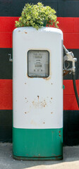 Vintage gasoline pump with flower pot.