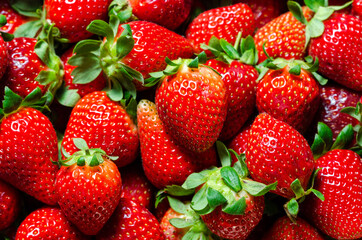 Composition of strawberries inside a box. Background of strawberries
