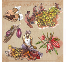 Cocoa harvesting and processing. Agriculture. An hand drawn vector illustrations on an vintage background.