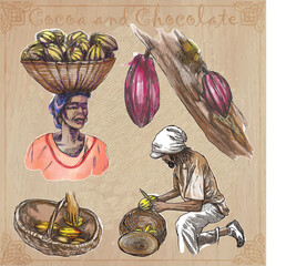 Cocoa harvesting and processing. Agriculture. An hand drawn vector illustrations on an vintage background. - 435404889