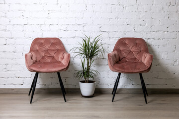 two upholstered pink chairs and palm plant by white brick wall. minimalism interior