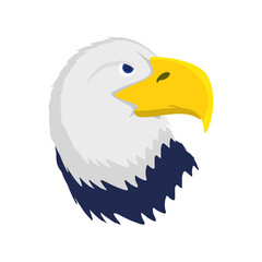 bald eagle head