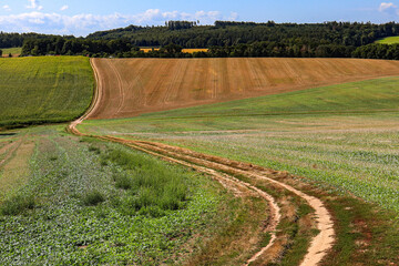 path between fields