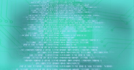 Composition of binary coding processing over online padlock and computer circuit board