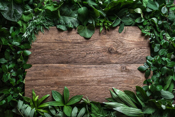 Green leaves and wooden background