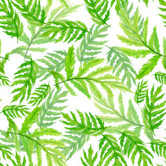 Fototapeta na wymiar Green foliage seamless pattern on white background. Watercolor hand drawing illustration. Leaves of blue tansy. Perfect for wallpaper and textile.