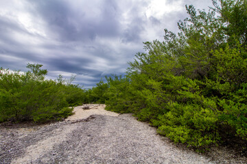 Obraz premium road in the mountains