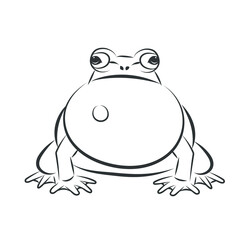  Vector of frog, A frog looking for a mate image design Isolated on the white background. Amphibian. Animal. Frog Icon. logo.