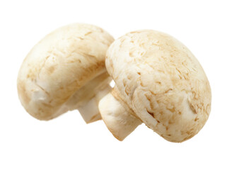 White mushrooms on white background
