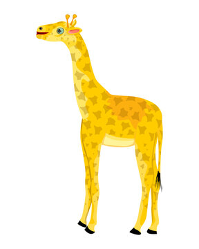 isolated giraffe on white background vector design