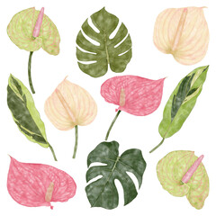 Summer tropical exotic green palm leaves and anthurium flowers

