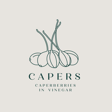 Vector illustration pickled capers - simple linear style. Logo composition with caperberries and typography.
