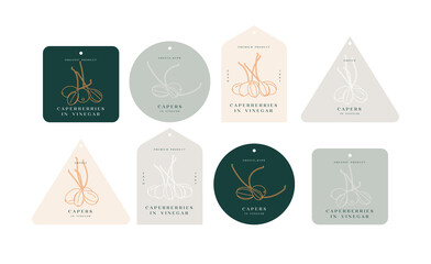 Vector set labels with pickled capers - simple linear style. Emblems composition with caperberries and typography.