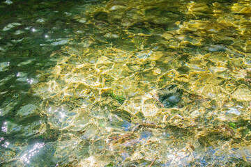 キラキラ輝く川の水面