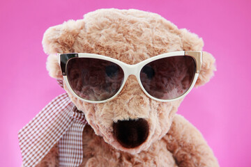 women's sunglasses with plastic frames