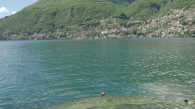 stunning summer landscape on Como lake in a june day.Torno, Lombardy, Italy.