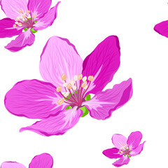 Obraz na płótnie Canvas Floral seamless pattern. Vector illustration.