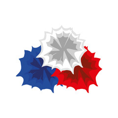 spots color french flag