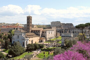 Fototapeta na wymiar Roman Forum, Rome, Italy