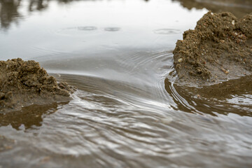 Sand dam and sea water flow on the beach by the sea