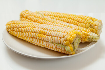 Plate with frozen corn on plate with white background