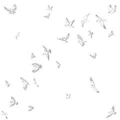 sketch of flying flock of birds, isolated
