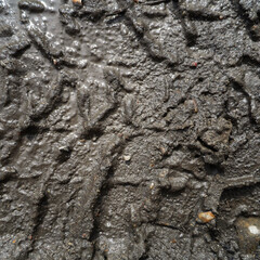 Slippery dirty greasy ground. Wet dirt texture.