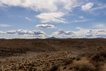 landscape of the mountains
